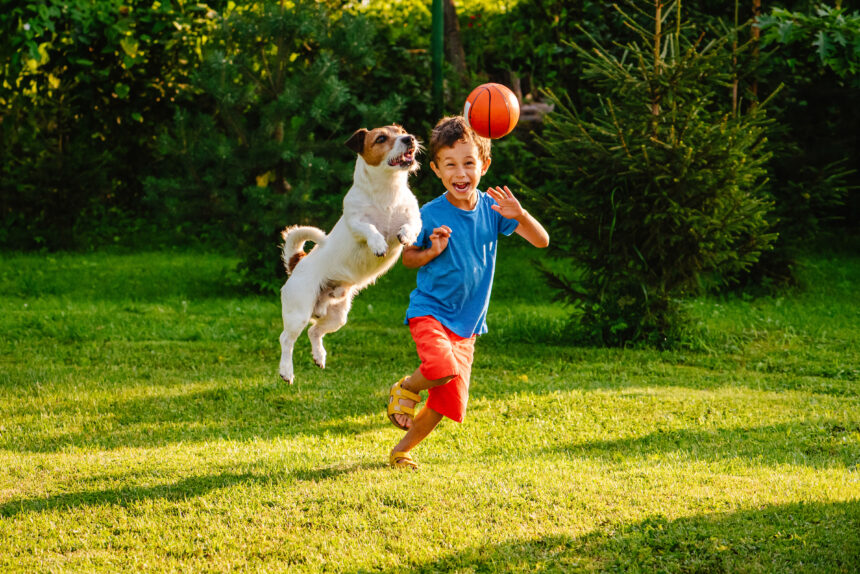 Klart hunden är en familjemedlem