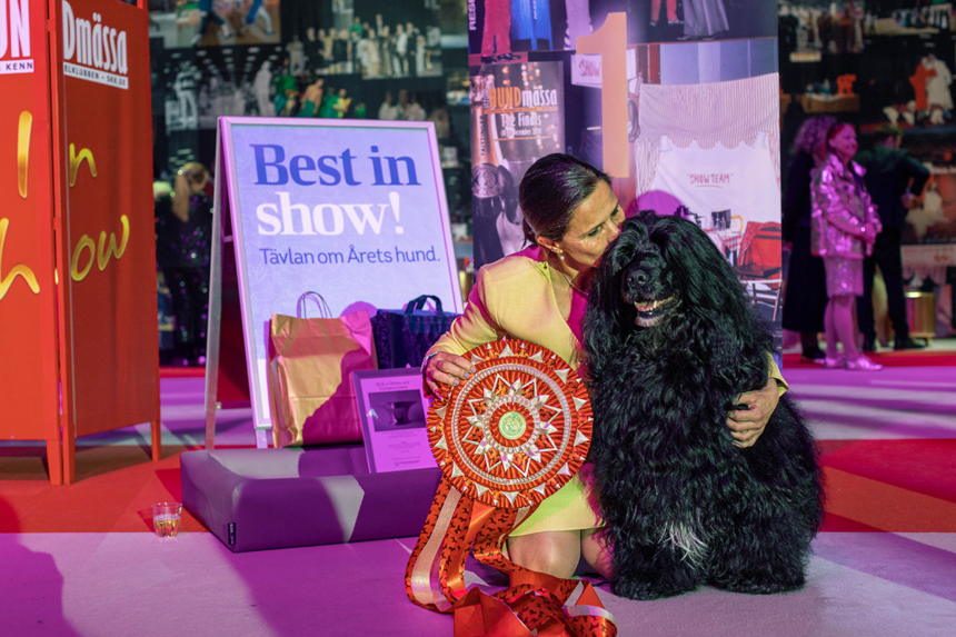Portugisisk vattenhund vann Best in Show