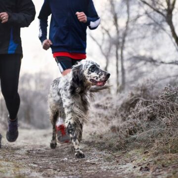 Kom i form tillsammans med hunden!