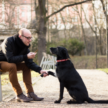 Så kommunicerar du bäst med din hund