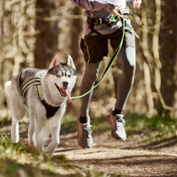 Löparfest – Run for Pride