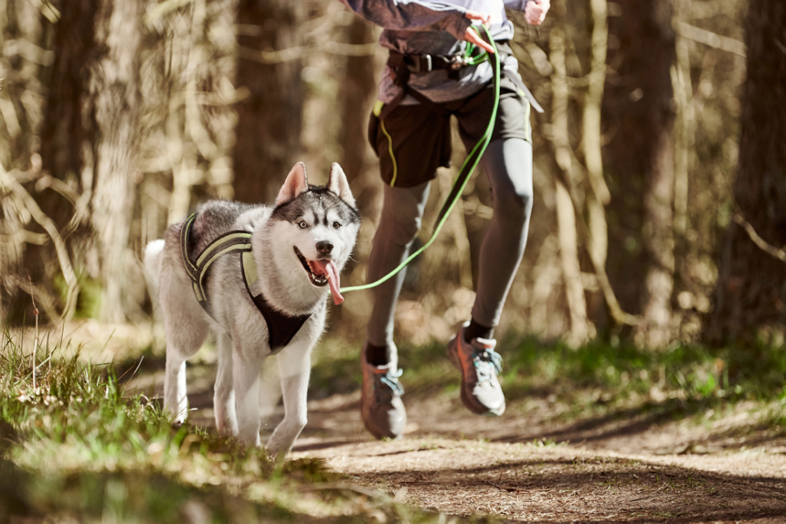 Löparfest – Run for Pride