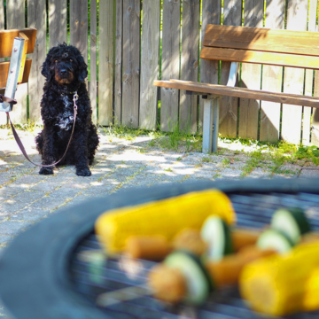 Se upp för farlig grillmat