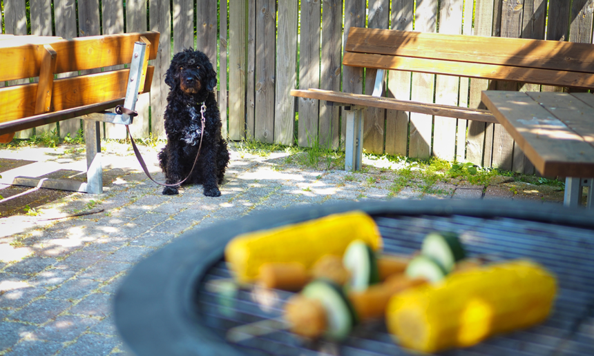 Se upp för farlig grillmat