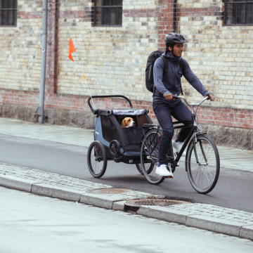 Alltfler vill cykla med hunden