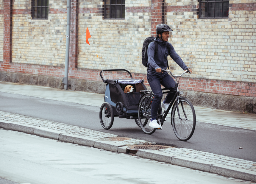 Alltfler vill cykla med hunden