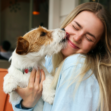 9 tecken på att din hund älskar dig