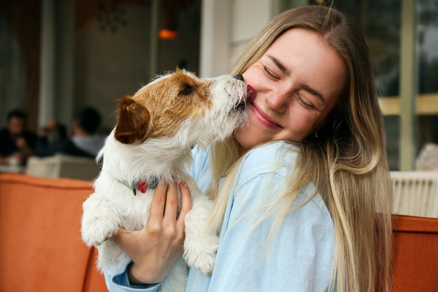 9 tecken på att din hund älskar dig