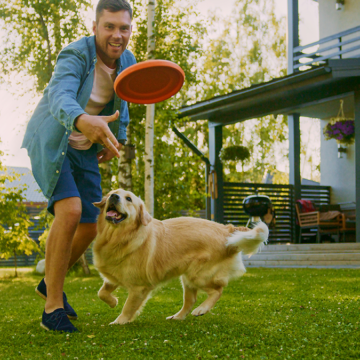 Därför ska du leka med hunden