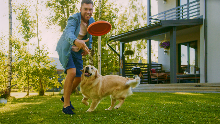 Därför ska du leka med hunden