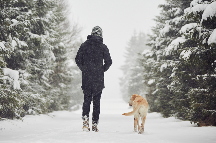 Hund hjälper inte vid typ 2-diabetes