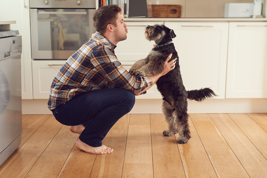 Förstår hunden vad du säger?