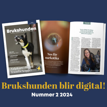 Nytt digitalt nummer av Brukshunden