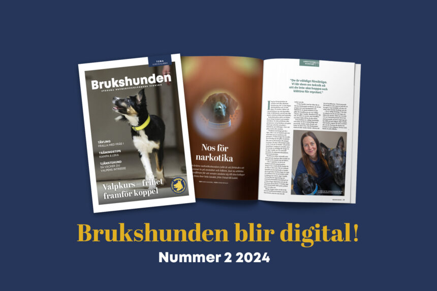 Nytt digitalt nummer av Brukshunden